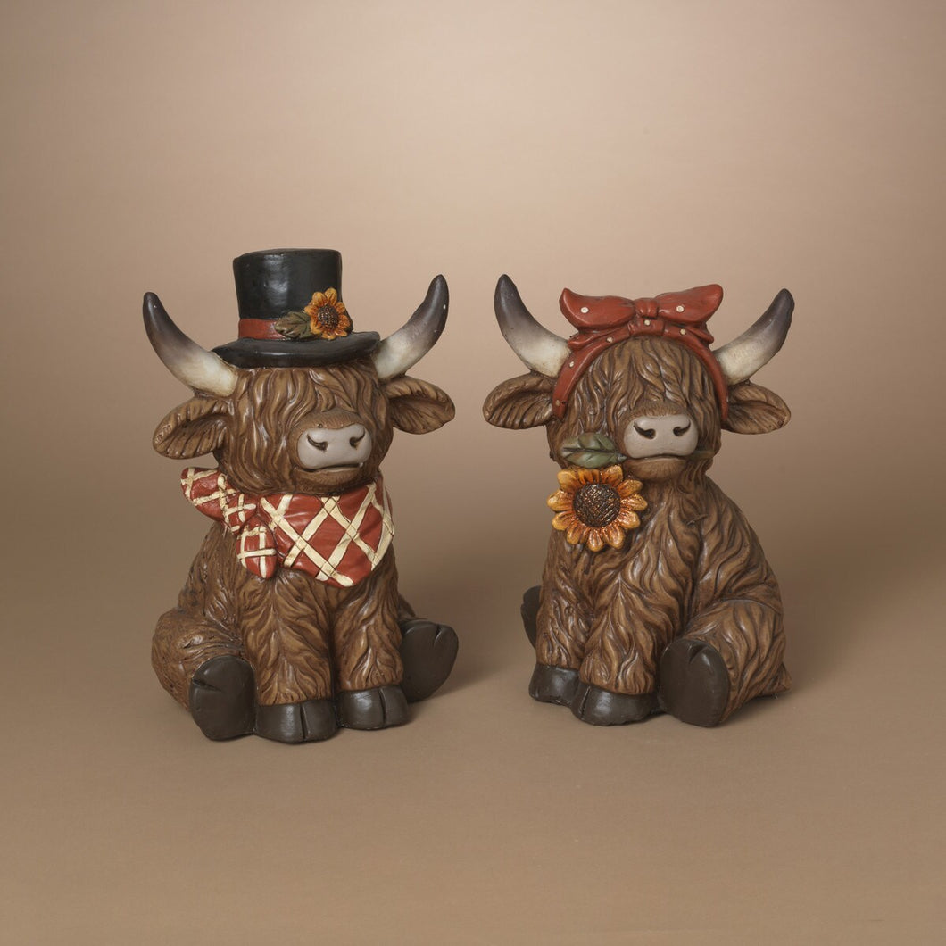 Harvest Highland Cows